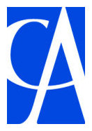 Icas Logo